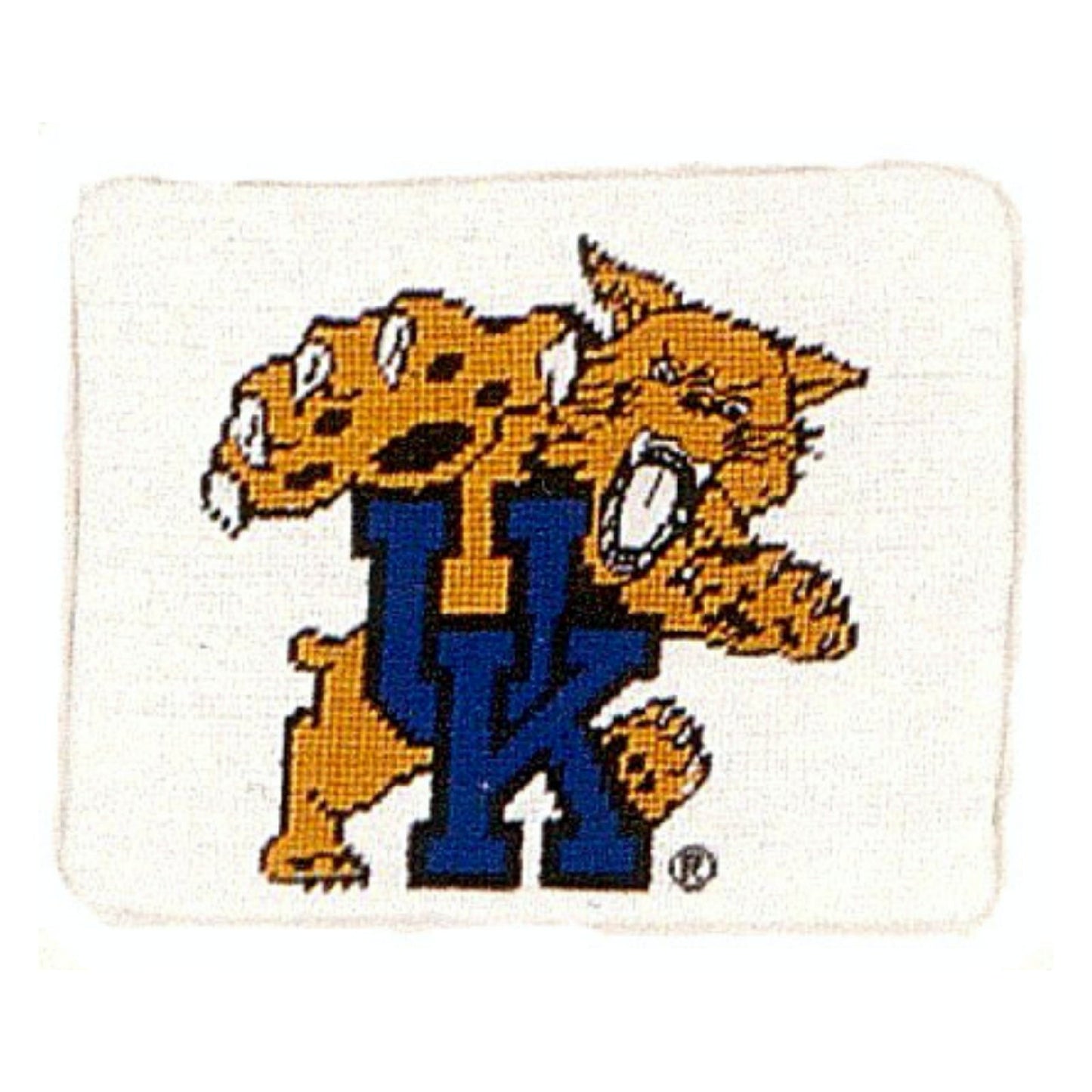 Handmade Wool Needlepoint Pillow Cover - Decorative Throw Cushion Cover - Vintage Floral Embroidery Design U of Kentucky, tiger UK