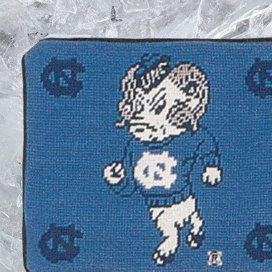 Handmade Wool Needlepoint Pillow Cover - Decorative Throw Cushion Cover - Vintage Floral Embroidery DesignU of NC Tar Heels