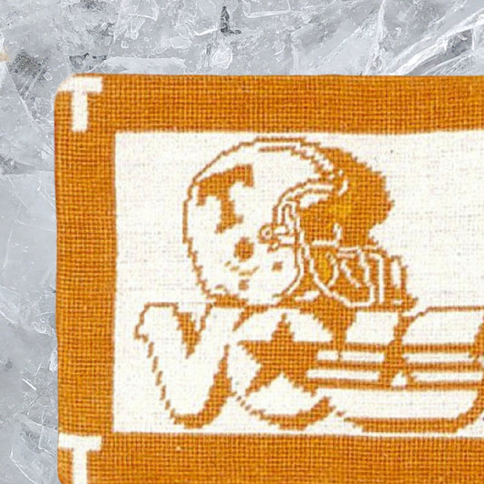 Handmade Wool Needlepoint Pillow Cover - Decorative Throw Cushion Cover - Vintage Floral Embroidery Design Tennessee