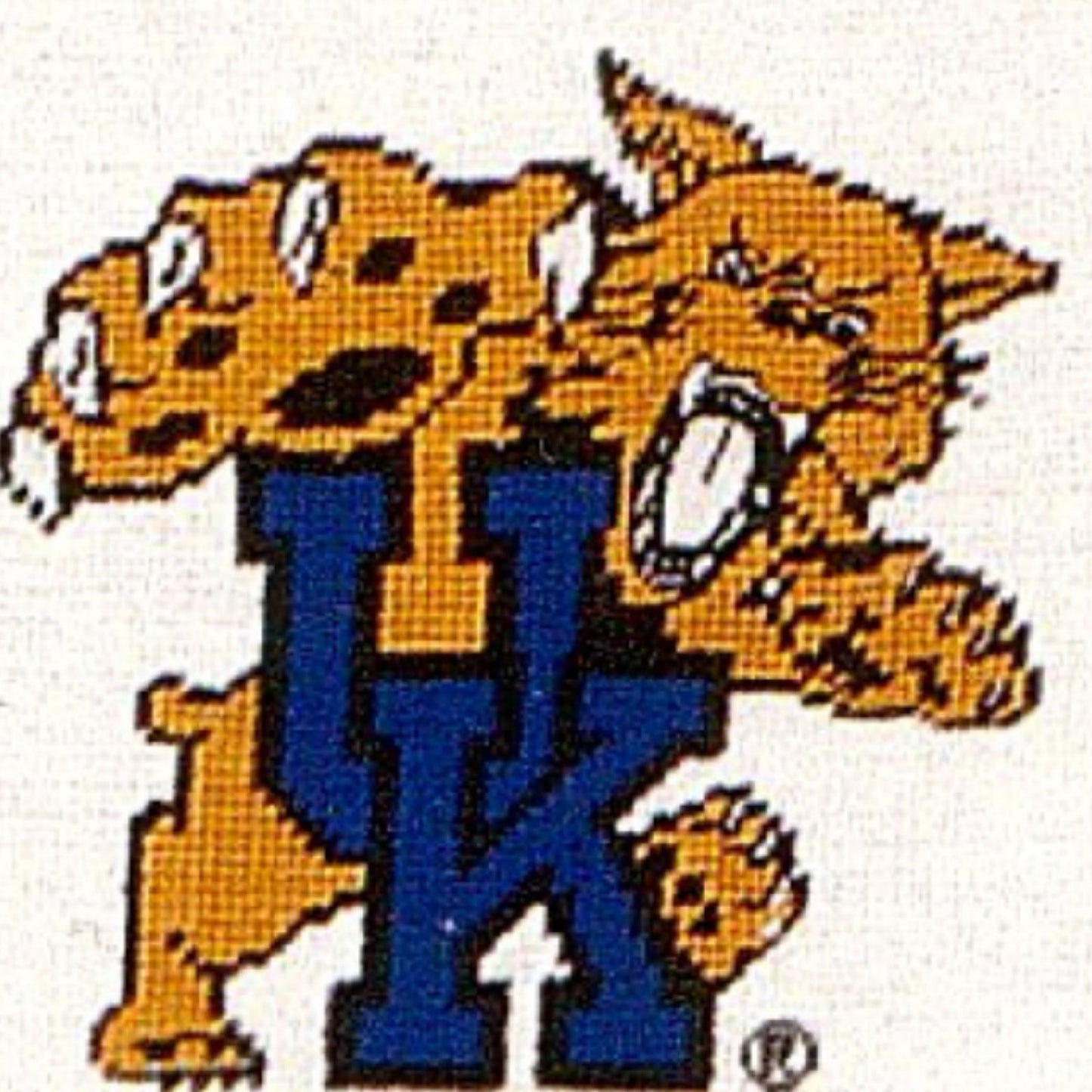 Handmade Wool Needlepoint Pillow Cover - Decorative Throw Cushion Cover - Vintage Floral Embroidery Design U of Kentucky, tiger UK