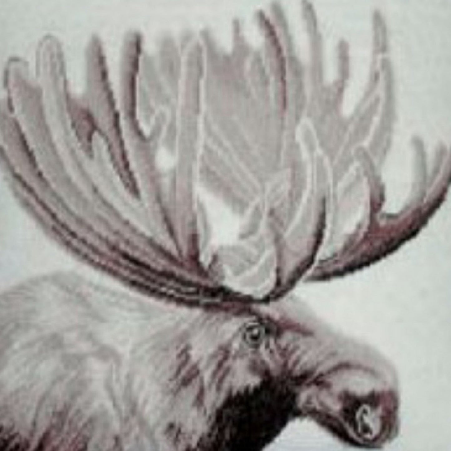 Handmade Wool Needlepoint Pillow Cover - Decorative Throw Cushion Cover - Vintage Floral Embroidery Design  Moose side with 3 color cording