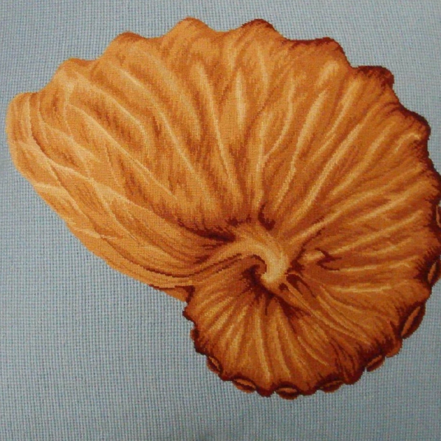 Handmade Wool Needlepoint Pillow Cover - Decorative Throw Cushion Cover - Vintage Floral Embroidery Design Nautilus shell light blue background with cording