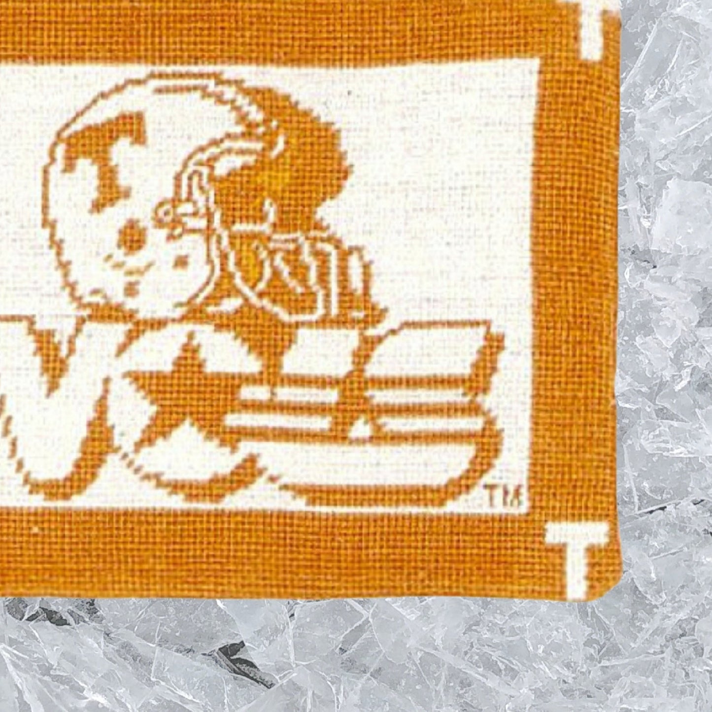 Handmade Wool Needlepoint Pillow Cover - Decorative Throw Cushion Cover - Vintage Floral Embroidery Design Tennessee