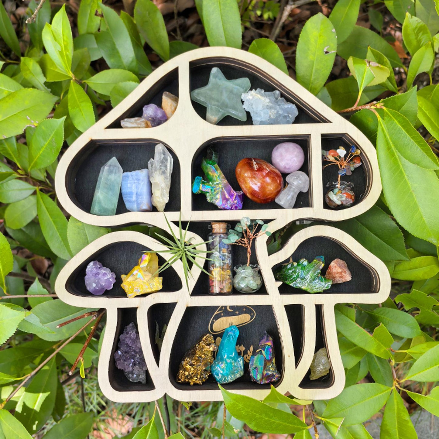 Handmade Mushroom-Shaped Crystal Display Shelf | Wooden Mushroom Wall Hanging | Unique Boho Home Décor for Gemstone Lovers