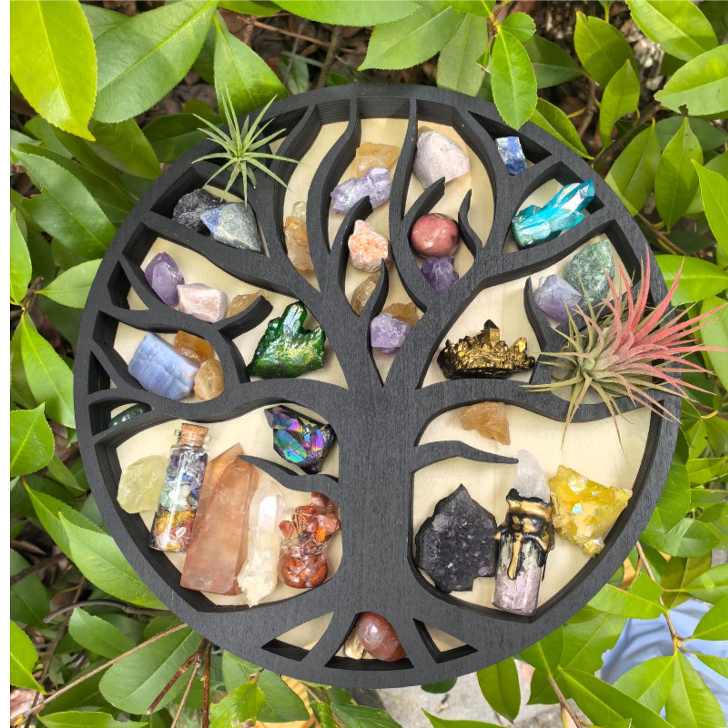 Tree of Life Crystal Shelf - Wooden Crystal Display Shelf for Healing Crystals, Spiritual Decor, Boho Decor, Witchy Room Decor