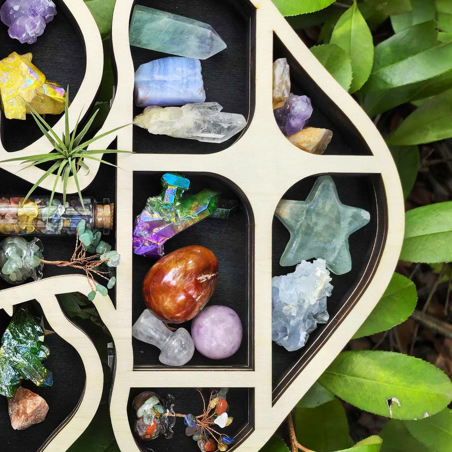 Handmade Mushroom-Shaped Crystal Display Shelf | Wooden Mushroom Wall Hanging | Unique Boho Home Décor for Gemstone Lovers