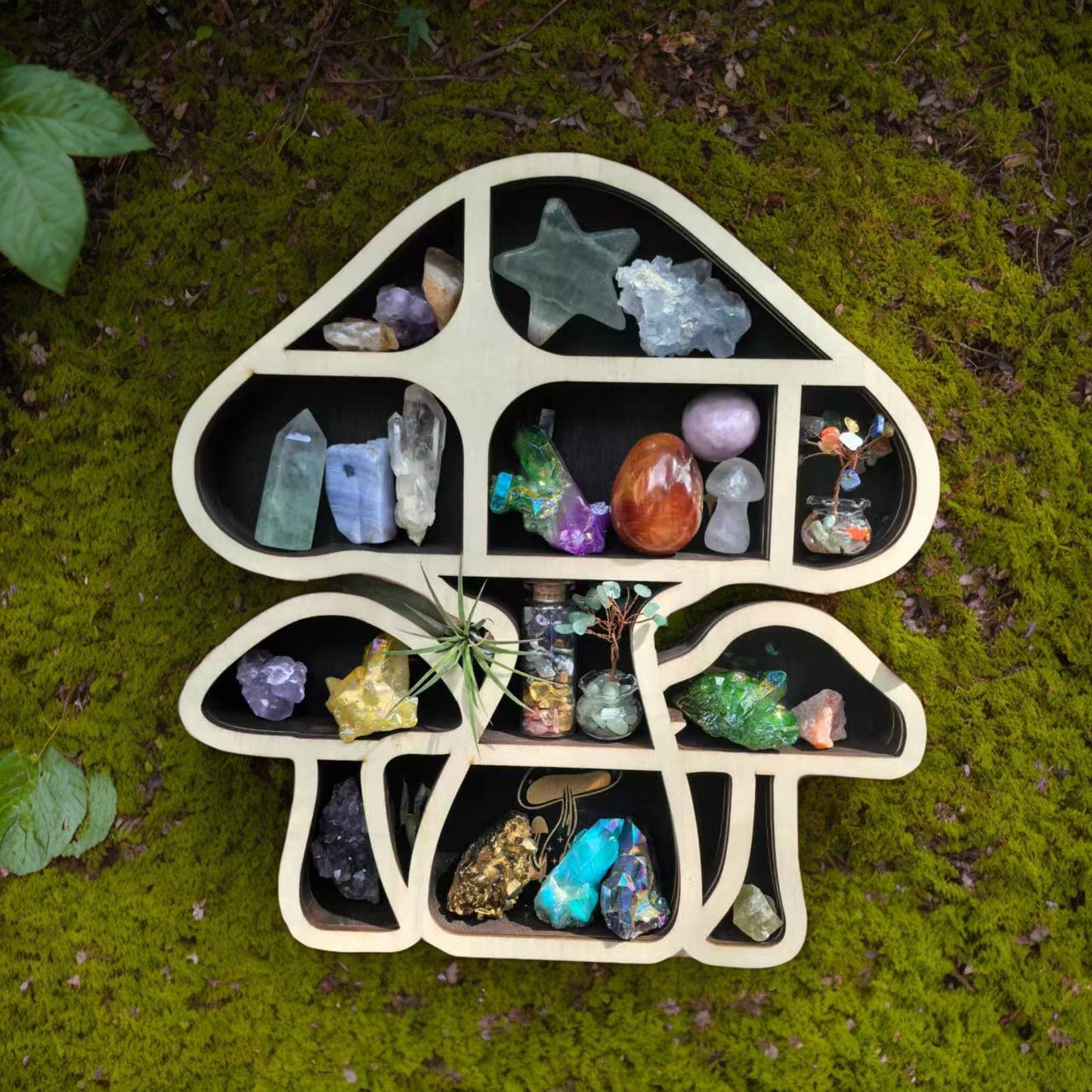 Handmade Mushroom-Shaped Crystal Display Shelf | Wooden Mushroom Wall Hanging | Unique Boho Home Décor for Gemstone Lovers