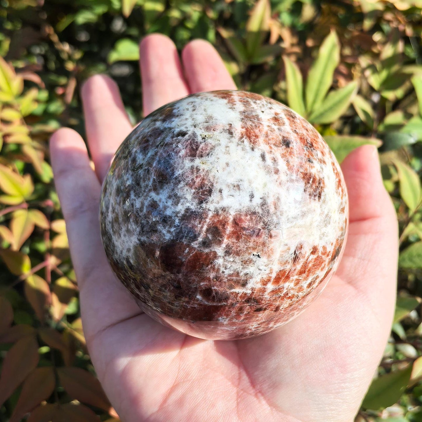 3-Inch Ocean Jasper Crystal Ball - Hand-Polished Gemstone Sphere | Natural Energy Healing & Feng Shui Décor | Unique Home Decoration Gift