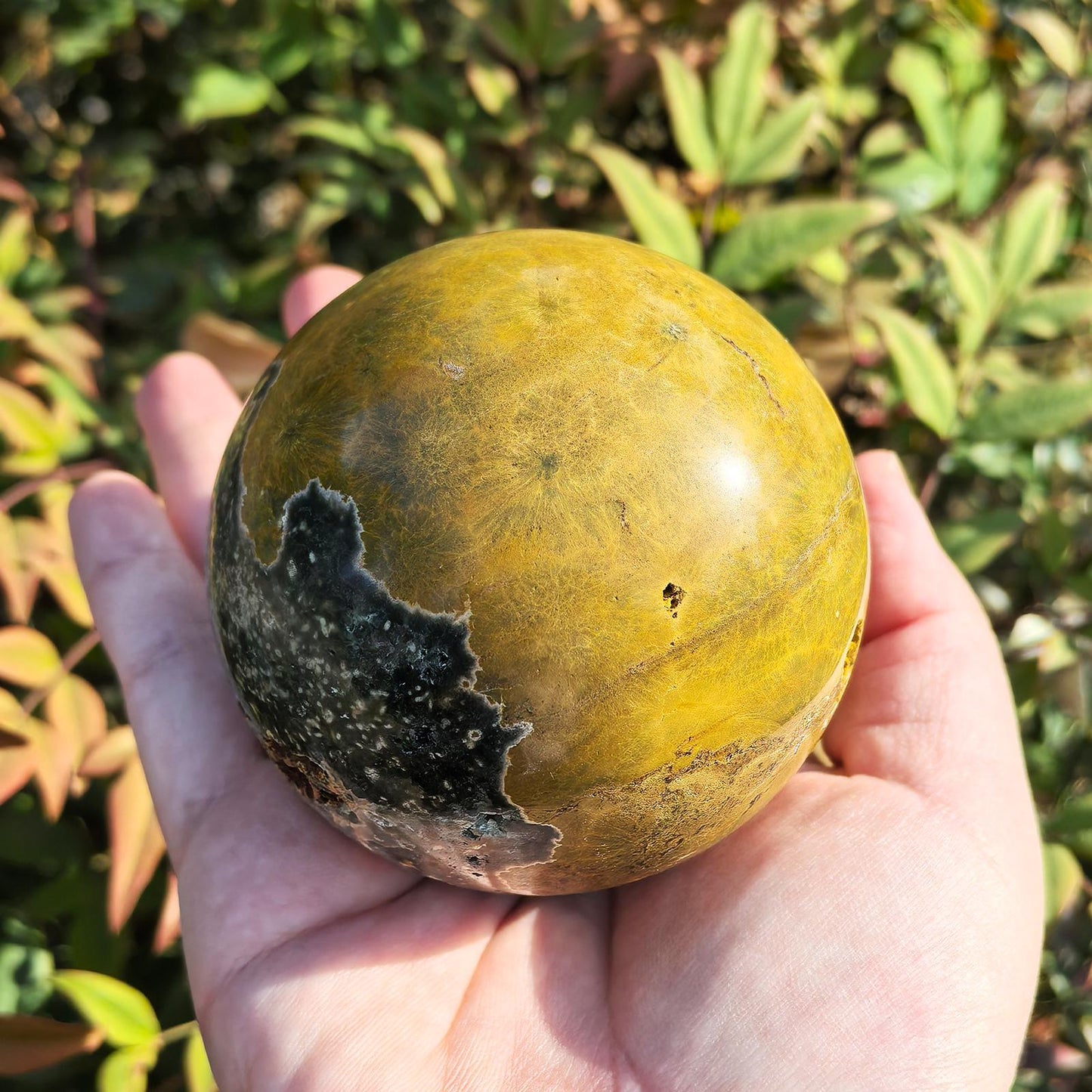 3-Inch Ocean Jasper Crystal Ball - Hand-Polished Gemstone Sphere | Natural Energy Healing & Feng Shui Décor | Unique Home Decoration Gift