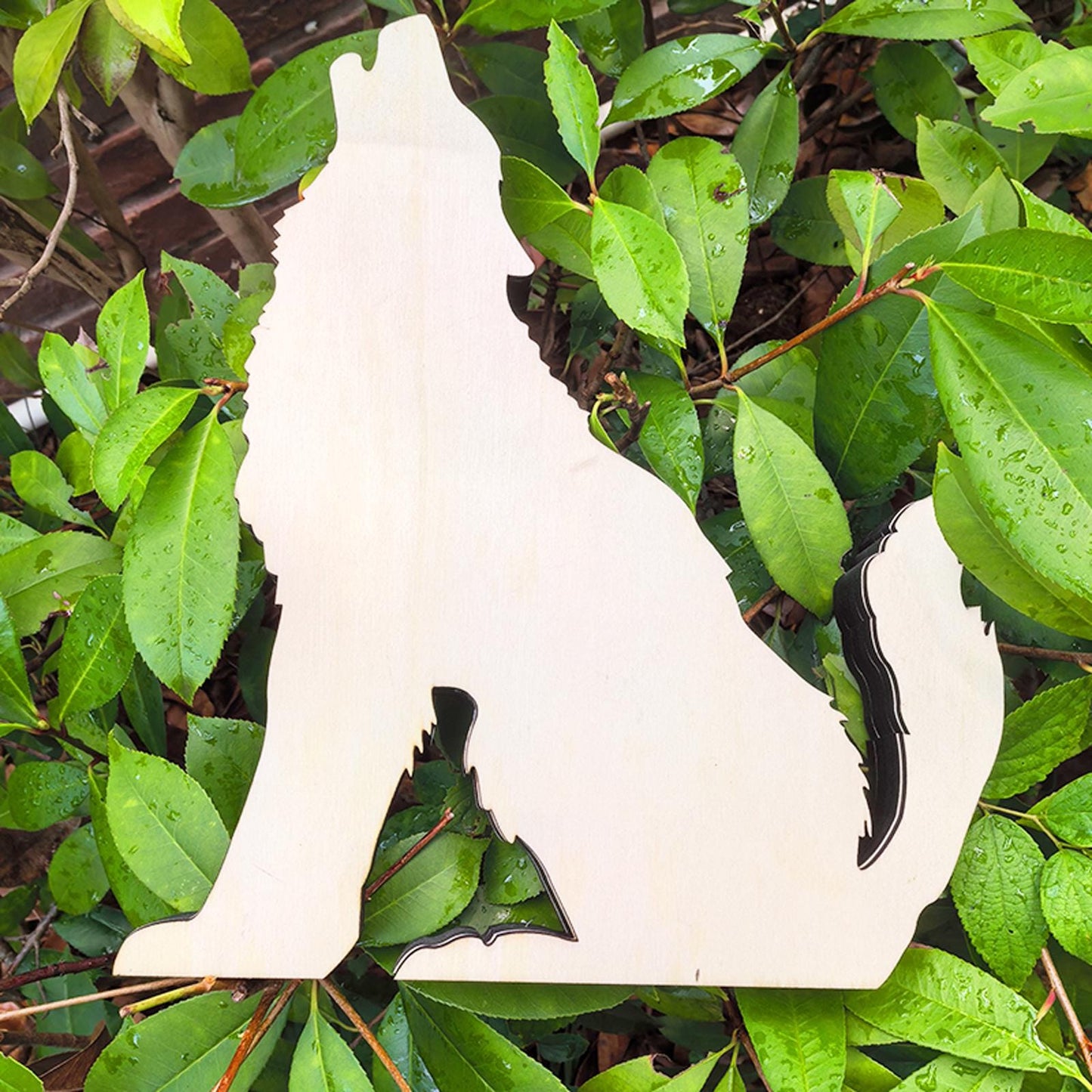 Howling Wolf Crystal Shelf – Wooden Wolf Moon Display, Witchy Altar Decor, Boho Spiritual Storage, Gothic Home Accent, Nature Wall Art